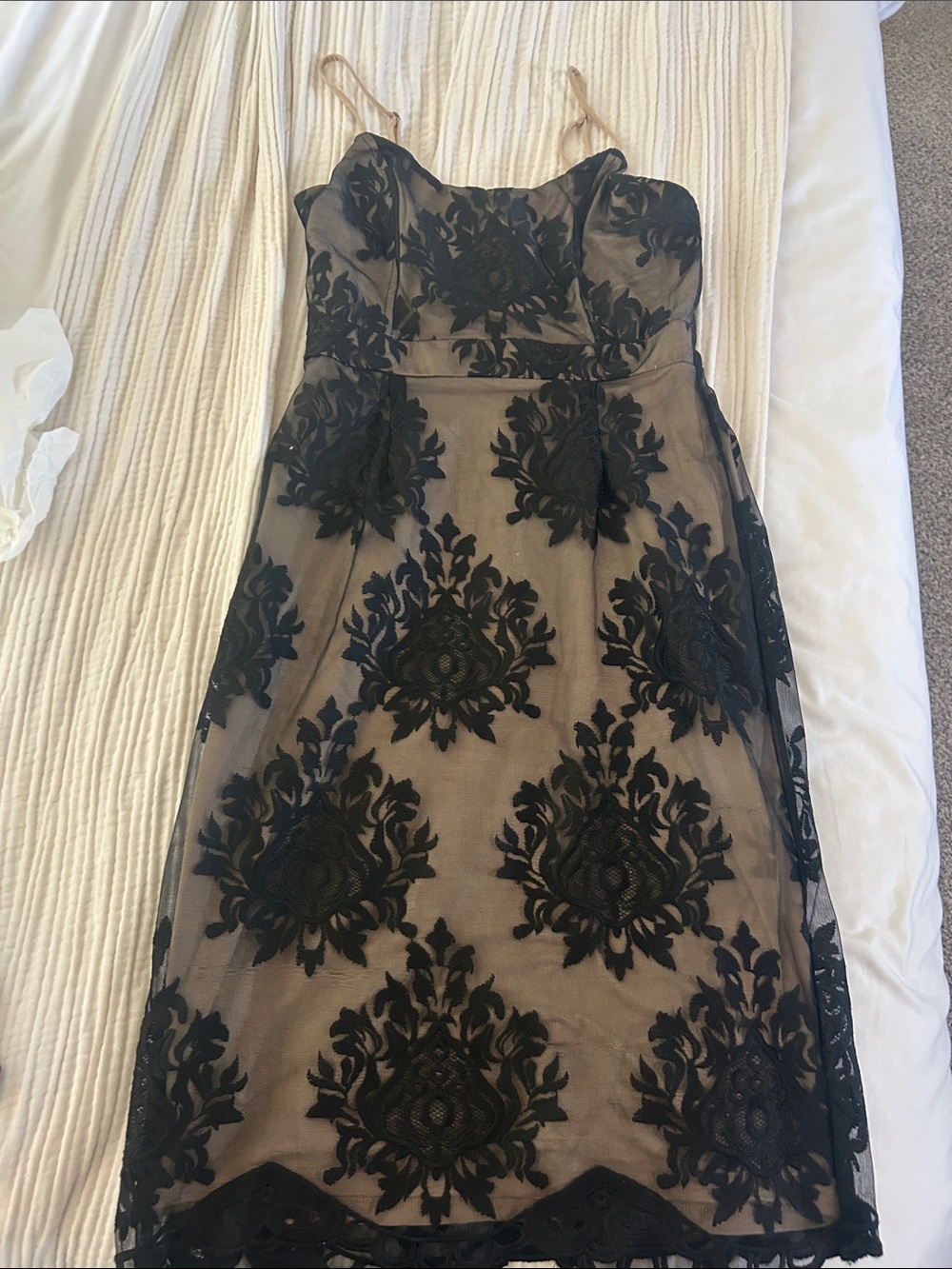 Black Lace Overlay Dress with Nude Lining